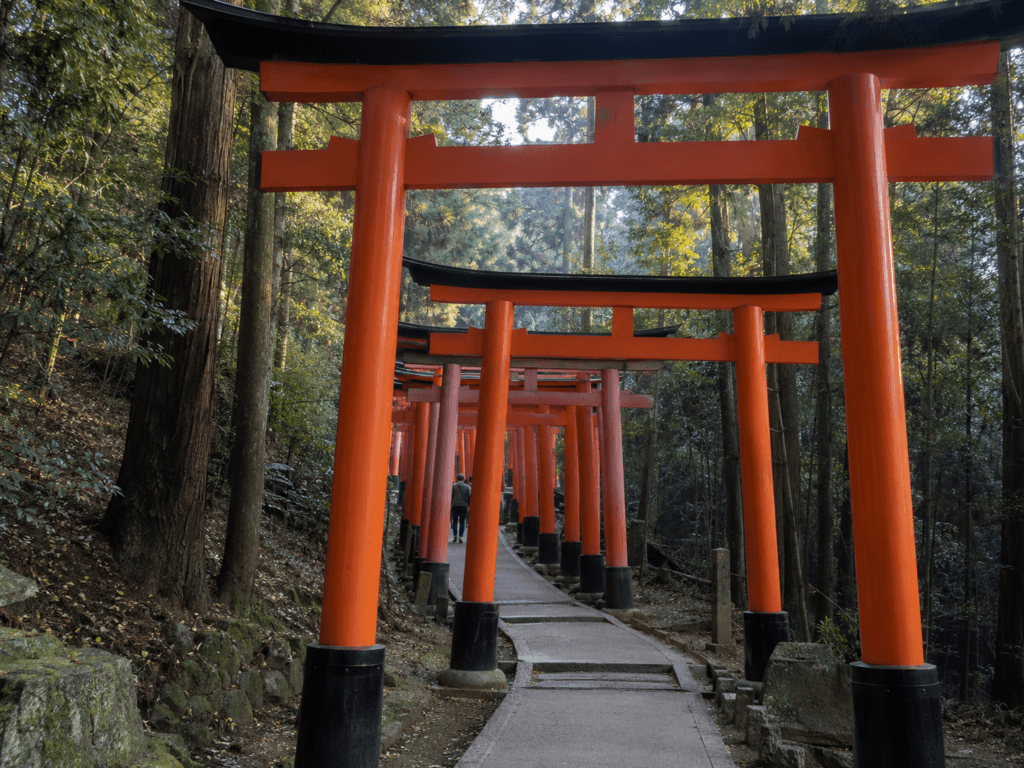 Fushimi Inari torii gates in Kyoto with a quiet forest path, soft morning light and a small traveler walking in the distance