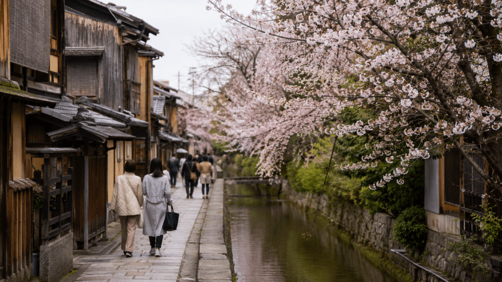 Traditional Kyoto street lined with cherry blossoms in spring