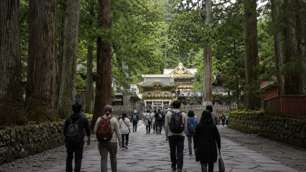 Visitors walking through a cedar forest toward Toshogu Shrine in Nikko