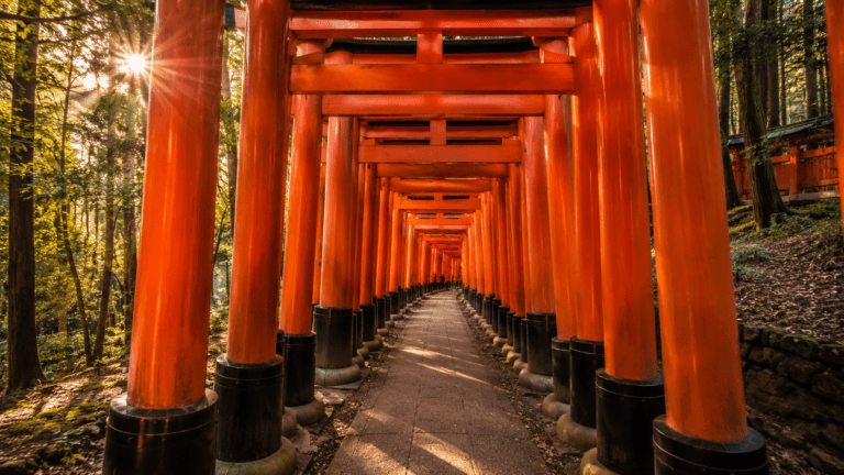 Fushimi Inari Guide 2026: Torii Gates, Best Time and Route Tips