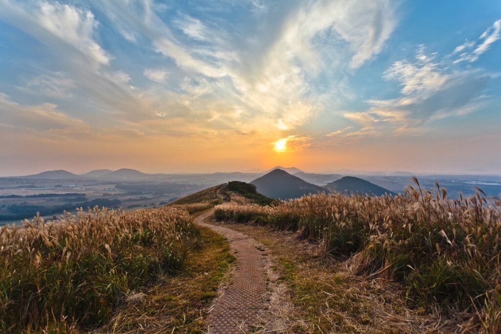 Sunset over the walking path and silver grass at Saebyeol Oreum in Jeju