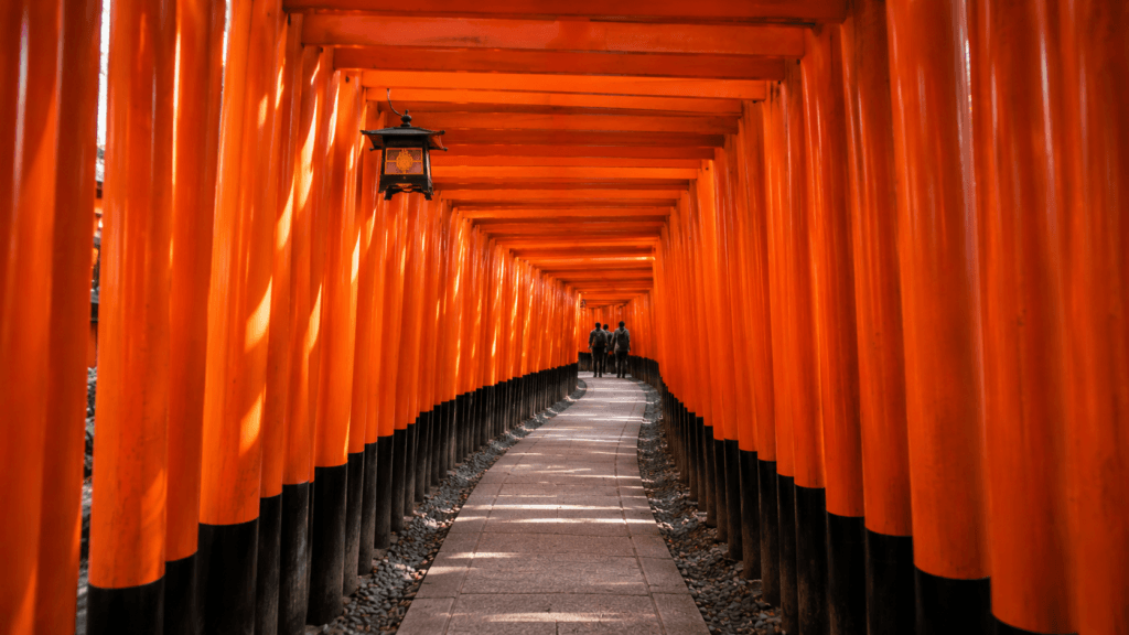 Senbon Torii at Fushimi Inari with dense red torii gates forming a tunnel-like path in Kyoto