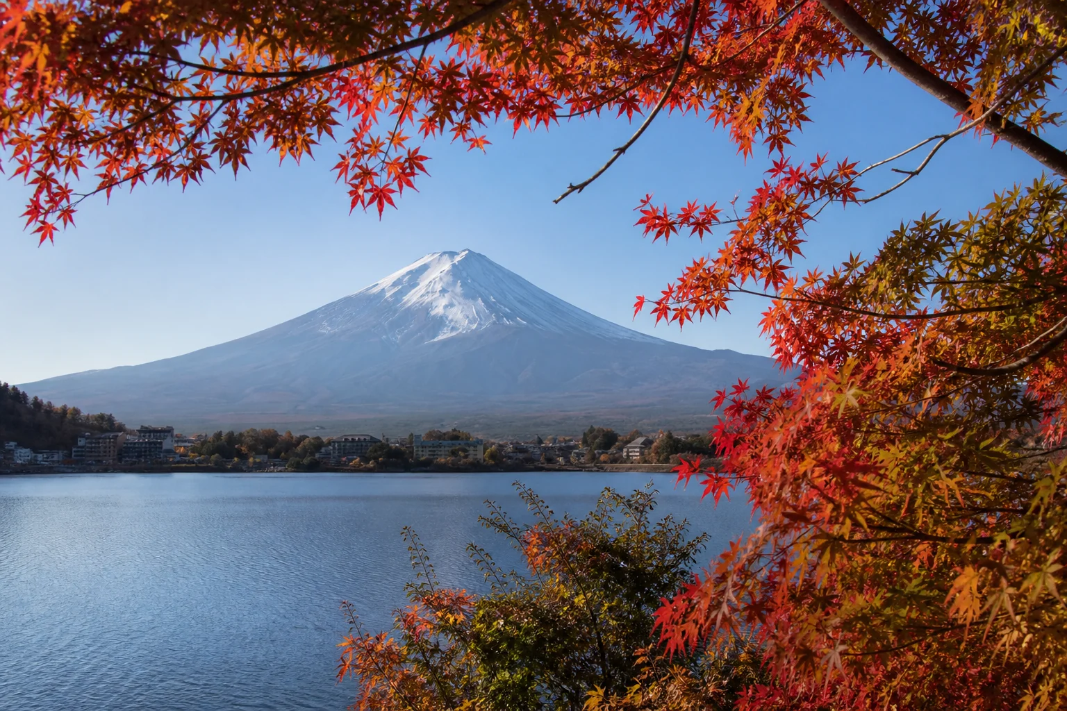 Mount Fuji viewed across Lake Kawaguchiko through red autumn maple leaves