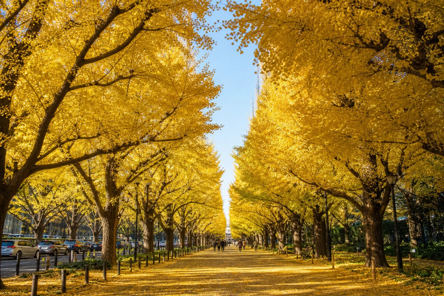 Golden ginkgo avenue in Tokyo during peak autumn